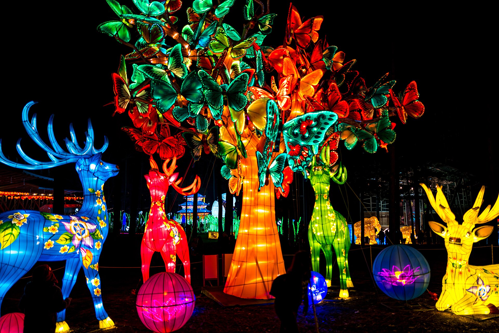 Illuminated deer around a tree covered with butterfly lanterns at the North Carolina Chinese Lantern Festival in 2019