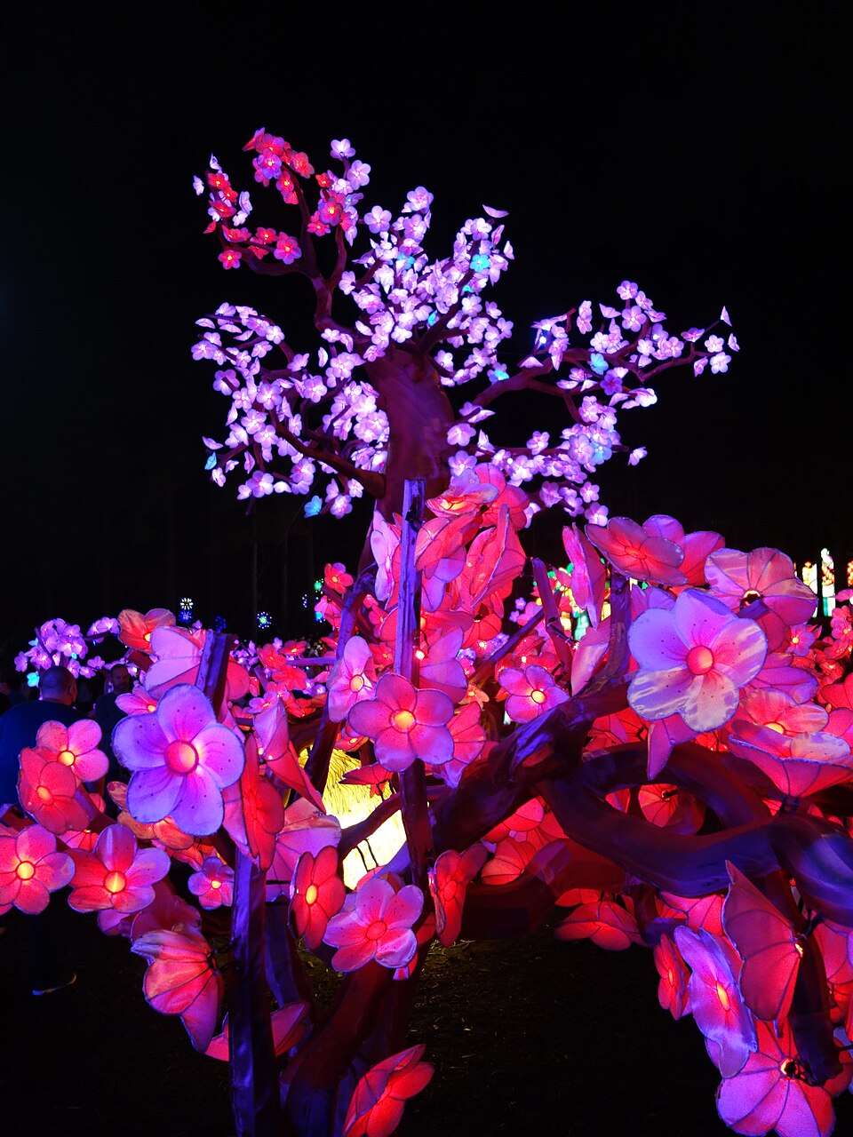 Tree decorated with illuminated flowers at the Chinese Lantern Festival in Cary
